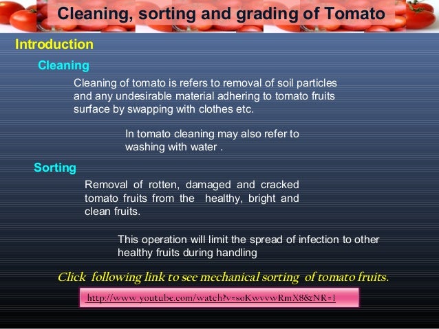 Tomato Grading Chart