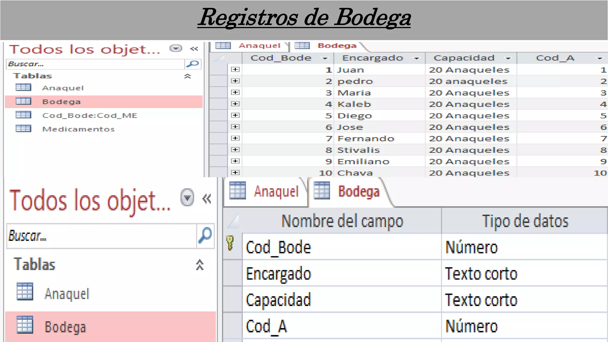 Registros de Bodega
