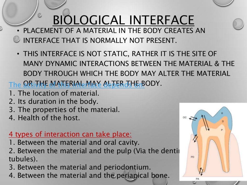 of dental materials kelly