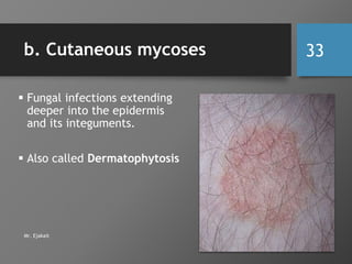 4. Fungi lecture | PPTX