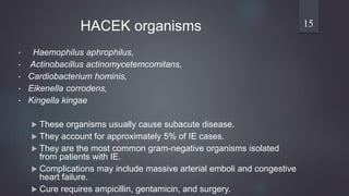 • Haemophilus aphrophilus,
• Actinobacillus actinomycetemcomitans,
• Cardiobacterium hominis,
• Eikenella corrodens,
• Kingella kingae
 These organisms usually cause subacute disease.
 They account for approximately 5% of IE cases.
 They are the most common gram-negative organisms isolated
from patients with IE.
 Complications may include massive arterial emboli and congestive
heart failure.
 Cure requires ampicillin, gentamicin, and surgery.
15HACEK organisms
 