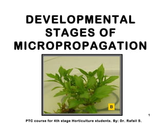 DEVELOPMENTAL
STAGES OF
MICROPROPAGATION
PTC course for 4th stage Horticulture students. By: Dr. Rafail S.
1
 