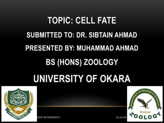 TOPIC: CELL FATE
SUBMITTED TO: DR. SIBTAIN AHMAD
PRESENTED BY: MUHAMMAD AHMAD
BS (HONS) ZOOLOGY
UNIVERSITY OF OKARA
29-Jan-2018CELL FATE BY PROGRESSIVE DETERMINANTS 1
 