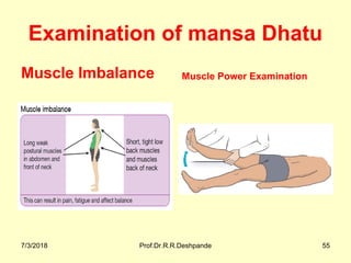 Examination of mansa Dhatu
Muscle Imbalance Muscle Power Examination
7/3/2018 Prof.Dr.R.R.Deshpande 55
 