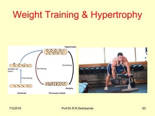 Weight Training & Hypertrophy 
7/3/2018 Prof.Dr.R.R.Deshpande 63
 