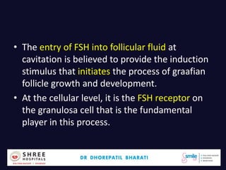 • The entry of FSH into follicular fluid at
cavitation is believed to provide the induction
stimulus that initiates the process of graafian
follicle growth and development.
• At the cellular level, it is the FSH receptor on
the granulosa cell that is the fundamental
player in this process.
Dr.Bharati Dhorepatil 24
 