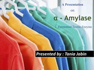 A Presentation
on
α - Amylase
Presented by : Tania Jabin
Fermented Textile Enzyme
 