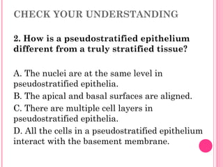CHECK YOUR UNDERSTANDING
2. How is a pseudostratified epithelium
different from a truly stratified tissue?
A. The nuclei are at the same level in
pseudostratified epithelia.
B. The apical and basal surfaces are aligned.
C. There are multiple cell layers in
pseudostratified epithelia.
D. All the cells in a pseudostratified epithelium
interact with the basement membrane.
 