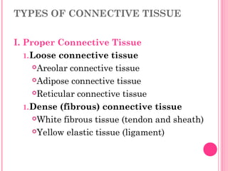 TYPES OF CONNECTIVE TISSUE
I. Proper Connective Tissue
1.Loose connective tissue
Areolar connective tissue
Adipose connective tissue
Reticular connective tissue
1.Dense (fibrous) connective tissue
White fibrous tissue (tendon and sheath)
Yellow elastic tissue (ligament)
 