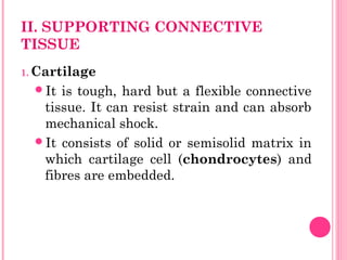 II. SUPPORTING CONNECTIVE
TISSUE
1. Cartilage
It is tough, hard but a flexible connective
tissue. It can resist strain and can absorb
mechanical shock.
It consists of solid or semisolid matrix in
which cartilage cell (chondrocytes) and
fibres are embedded.
 