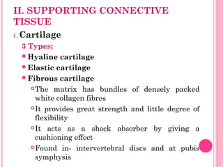 II. SUPPORTING CONNECTIVE
TISSUE
1. Cartilage
3 Types:
Hyaline cartilage
Elastic cartilage
Fibrous cartilage
The matrix has bundles of densely packed
white collagen fibres
It provides great strength and little degree of
flexibility
It acts as a shock absorber by giving a
cushioning effect
Found in- intervertebral discs and at pubis
symphysis
 