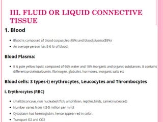 III. FLUID OR LIQUID CONNECTIVE
TISSUE
 