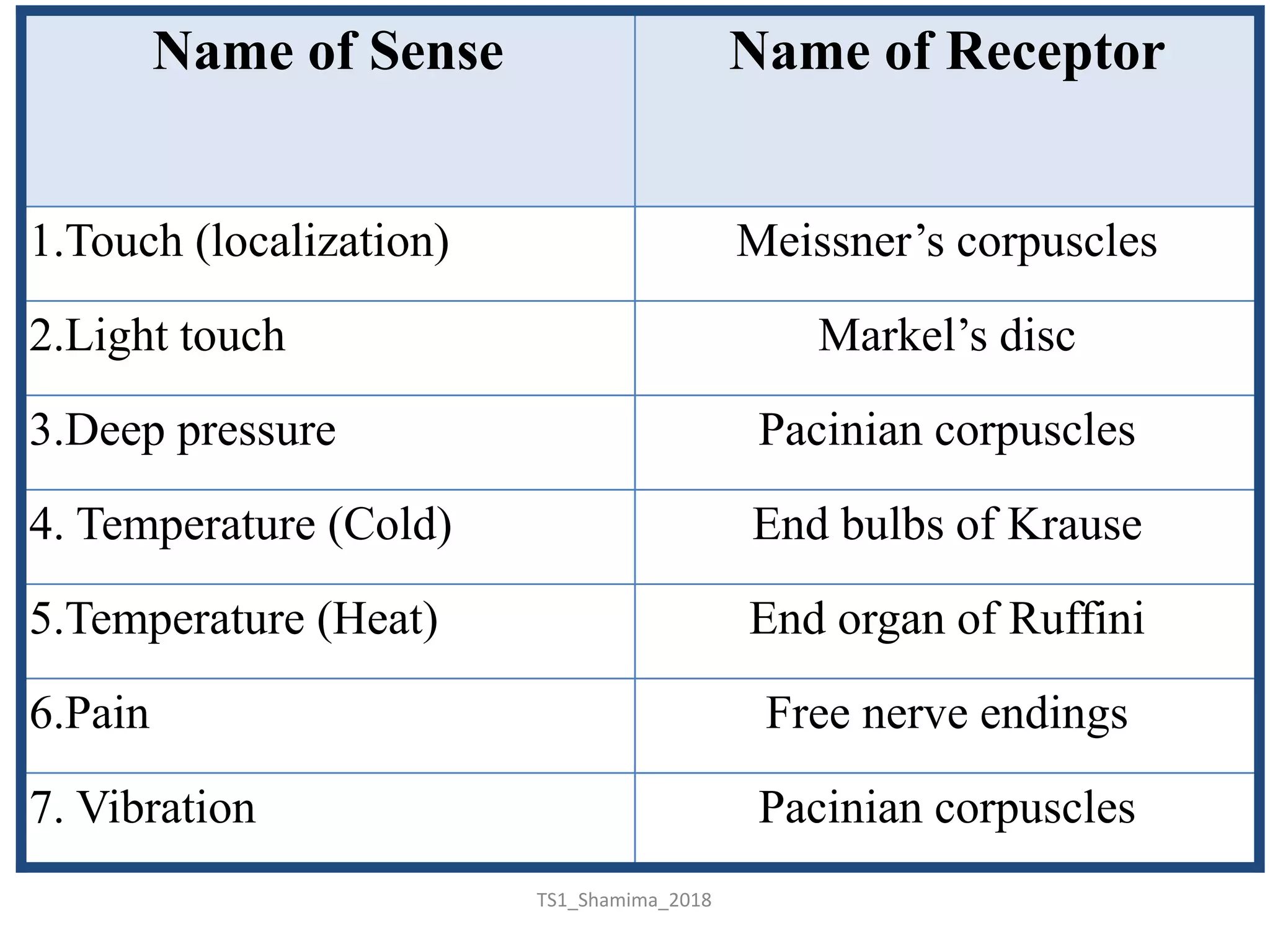 sensory component | PPTX
