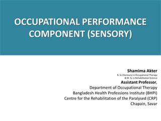 sensory component | PPTX