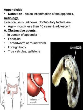 4.intestine3 | PDF