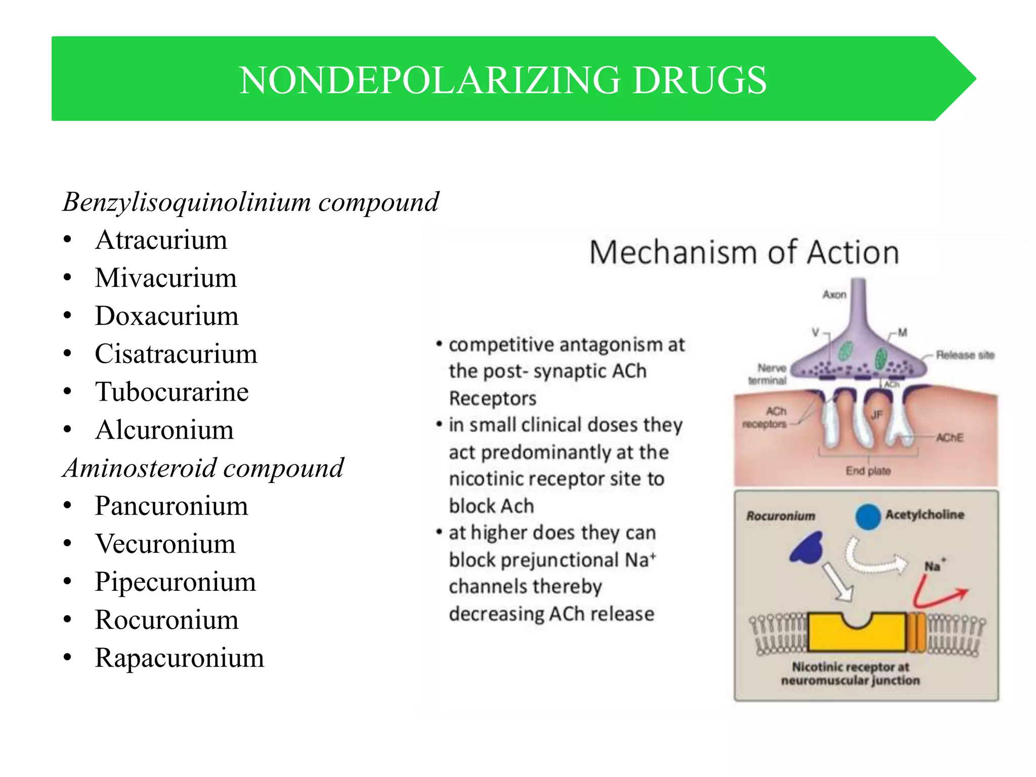 NONDEPOLARIZING DRUGS
Benzylisoquinolinium compound
• Atracurium
• Mivacurium
• Doxacurium
• Cisatracurium
• Tubocurarine
• Alcuronium
Aminosteroid compound
• Pancuronium
• Vecuronium
• Pipecuronium
• Rocuronium
• Rapacuronium
 