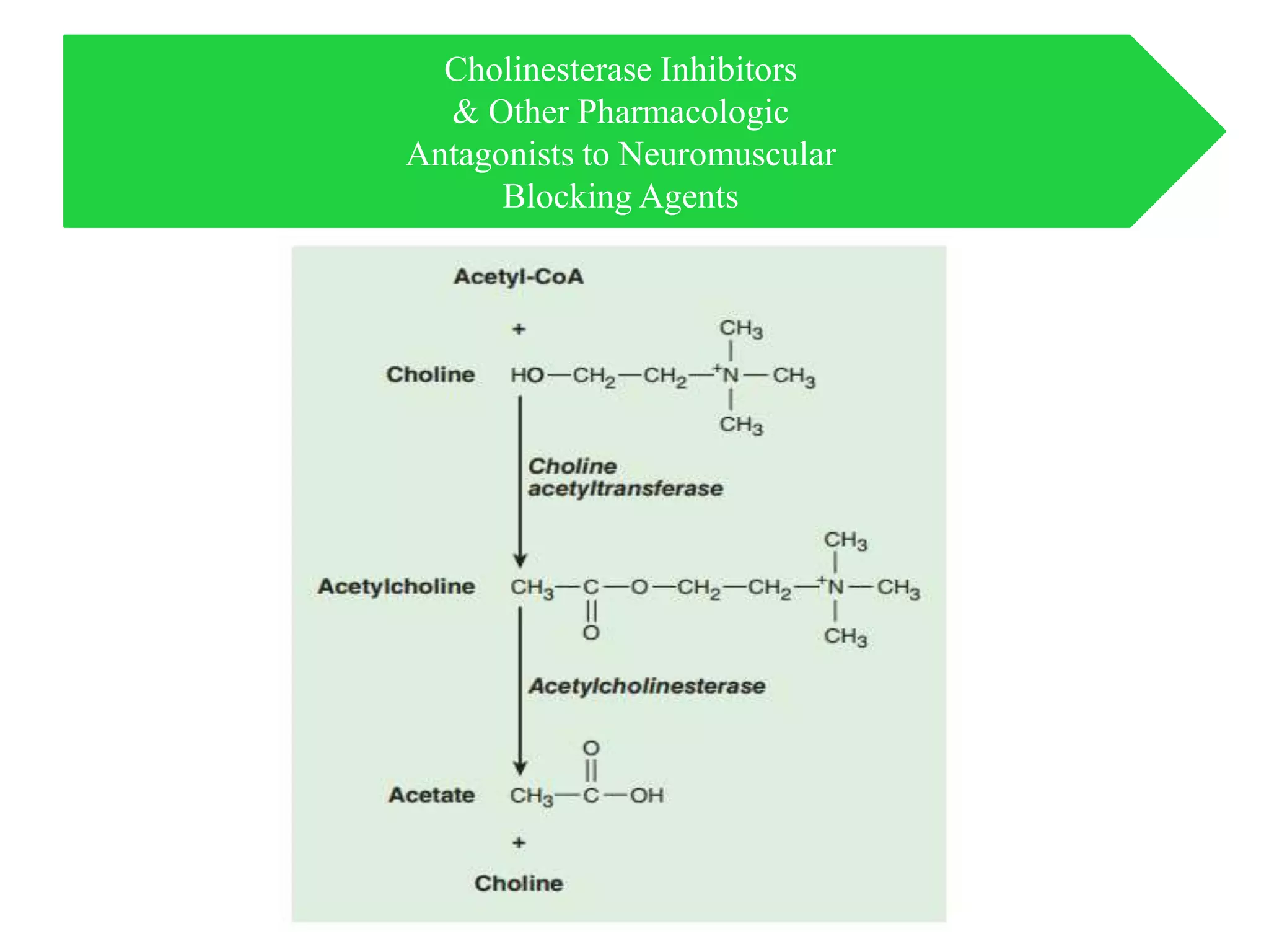 Cholinesterase Inhibitors
& Other Pharmacologic
Antagonists to Neuromuscular
Blocking Agents
 