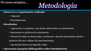 Metodologia
 Descrever o experimento realizado
 Material
 Procedimentos
 Resultados
 Apresentar os quadros com dados observados no experimento
 Apresentar os gráficos de crescimento
 Descrever todas as observações, mudanças e demais informações desde o
primeiro dia até o ultimo da experimentação
 Apresentar fotos com legenda e data
 Apresentar pesquisa bibliográfica sobre fotoblastismo
Da nossa pesquisa...Da nossa pesquisa
 