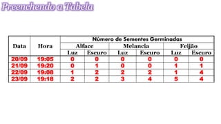 Preenchendo a Tabela
Data Hora
Número de Sementes Germinadas
Alface Melancia Feijão
Luz Escuro Luz Escuro Luz Escuro
20/09 19:05 0 0 0 0 0 0
21/09 19:20 0 1 0 0 1 1
22/09 19:08 1 2 2 2 1 4
23/09 19:18 2 2 3 4 5 4
 