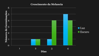 0
1
2
3
4
5
6
1 2 3 4
NúmerodeGerminações
Dias
Crescimento da Melancia
Luz
Escuro
 
