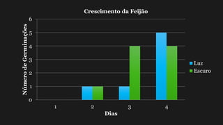 0
1
2
3
4
5
6
1 2 3 4
NúmerodeGerminações
Dias
Crescimento da Feijão
Luz
Escuro
 