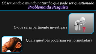 Observando o mundo natural o que pode ser questionado
Problema da Pesquisa
O que seria pertinente investigar?
Quais questões poderiam ser formuladas?
 