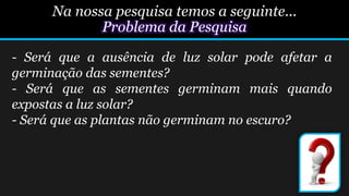 - Será que a ausência de luz solar pode afetar a
germinação das sementes?
- Será que as sementes germinam mais quando
expostas a luz solar?
- Será que as plantas não germinam no escuro?
Na nossa pesquisa temos a seguinte...
Problema da Pesquisa
 