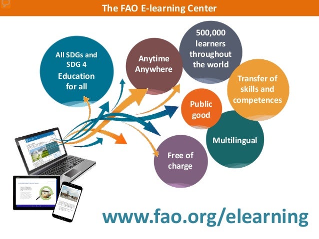 Cristina Petracchi FAO ELearning Team Leader Partnerships And Sout 