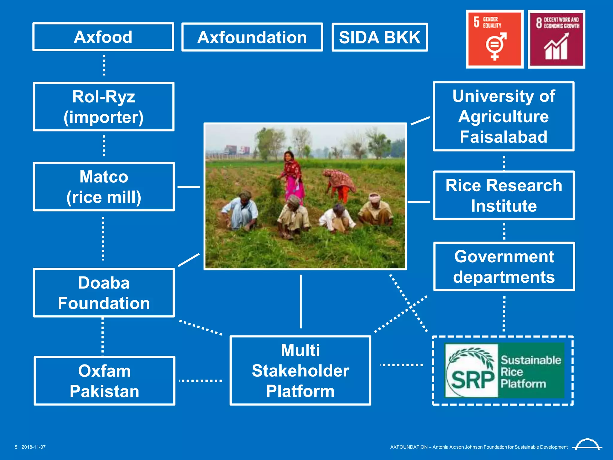 Rice in Pakistan project | PPT