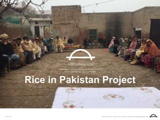 AXFOUNDATION – Antonia Ax:son Johnson Foundation for Sustainable Development2018-11-071
Rice in Pakistan Project
 