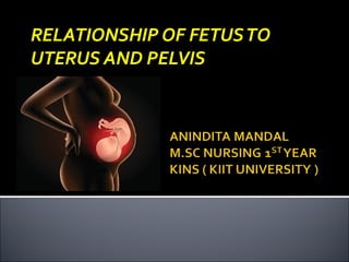 RELATIONSHIP OF FETUSTO
UTERUS AND PELVIS
 
