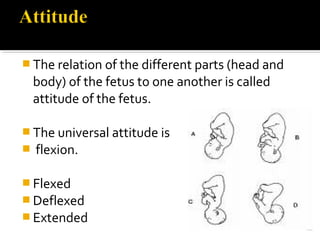 The relation of the different parts (head and
body) of the fetus to one another is called
attitude of the fetus.
 The universal attitude is
 flexion.
 Flexed
 Deflexed
 Extended
 