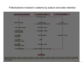 F.Mechanisms involved in oedema by sodium and water retention
 
