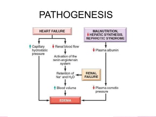 PATHOGENESIS
 