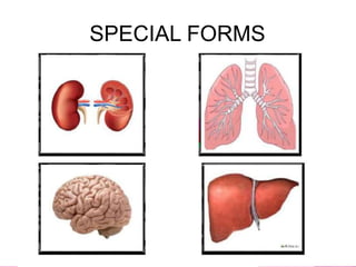 SPECIAL FORMS
 