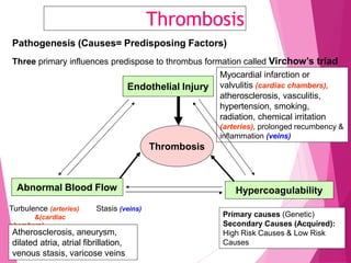 Thrombosis
Pathogenesis (Causes= Predisposing Factors)
Three primary influences predispose to thrombus formation called Virchow’s triad
Thrombosis
Endothelial Injury
Abnormal Blood Flow Hypercoagulability
Myocardial infarction or
valvulitis (cardiac chambers),
atherosclerosis, vasculitis,
hypertension, smoking,
radiation, chemical irritation
(arteries), prolonged recumbency &
inflammation (veins)
chambers)
Turbulence (arteries) Stasis (veins)
&(cardiac
Atherosclerosis, aneurysm,
dilated atria, atrial fibrillation,
venous stasis, varicose veins
Primary causes (Genetic)
Secondary Causes (Acquired):
High Risk Causes & Low Risk
Causes
 