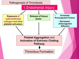 1.Endothelial Injury
Exposure of
subendothelial
collagen and other
platelet activators
Release of tissue
factor
• Increased
Procoagulant Factors
• Decreased
Anticoagulant
Effectors
Platelet Aggregation and
Activation of Extrinsic Clotting
Pathway
Thrombus Formation
Pathogenesis of Thrombosis
 