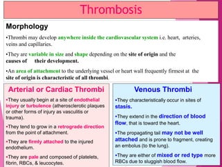 Thrombosis
Morphology
•Thrombi may develop anywhere inside the cardiovascular system i.e. heart, arteries,
veins and capillaries.
•They are variable in size and shape depending on the site of origin and the
causes of their development.
•An area of attachment to the underlying vessel or heart wall frequently firmest at the
site of origin is characteristic of all thrombi.
Arterial or Cardiac Thrombi
They usually begin at a site of endothelial
injury or turbulence (atherosclerotic plaques
or other forms of injury as vasculitis or
trauma).
They tend to grow in a retrograde direction
from the point of attachment.
They are firmly attached to the injured
endothelium.
They are pale and composed of platelets,
fibrin, RBCs, & leucocytes.
Venous Thrombi
They characteristically occur in sites of
stasis.
They extend in the direction of blood
flow, that is toward the heart.
The propagating tail may not be well
attached and is prone to fragment, creating
an embolus (to the lung).
They are either of mixed or red type more
RBCs due to sluggish blood flow.
 