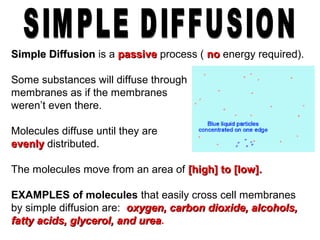 Simple DiffusionSimple Diffusion is a passivepassive process ( nono energy required).
Some substances will diffuse through
membranes as if the membranes
weren’t even there.
Molecules diffuse until they are
evenlyevenly distributed.
The molecules move from an area of [high] to [low].[high] to [low].
EXAMPLES of molecules that easily cross cell membranes
by simple diffusion are: oxygen, carbon dioxide, alcohols,oxygen, carbon dioxide, alcohols,
fatty acids, glycerol, and ureafatty acids, glycerol, and urea.
 