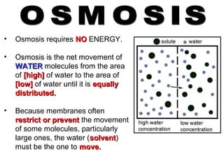 • Osmosis requires NONO ENERGY.
• Osmosis is the net movement of
WATERWATER molecules from the area
of [high][high] of water to the area of
[low][low] of water until it is equallyequally
distributed.distributed.
• Because membranes often
restrict or preventrestrict or prevent the movement
of some molecules, particularly
large ones, the water (solventsolvent)
must be the one to move.move.
 