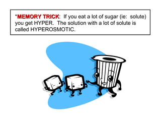 *MEMORY TRICKMEMORY TRICK: If you eat a lot of sugar (ie: solute)
you get HYPER. The solution with a lot of solute is
called HYPEROSMOTIC.
 