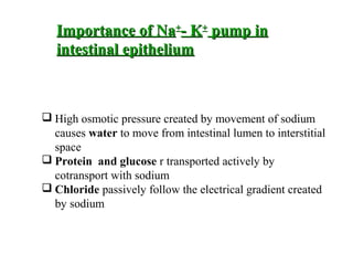  High osmotic pressure created by movement of sodium
causes water to move from intestinal lumen to interstitial
space
 Protein and glucose r transported actively by
cotransport with sodium
 Chloride passively follow the electrical gradient created
by sodium
Importance of NaImportance of Na++
- K- K++
pump inpump in
intestinal epitheliumintestinal epithelium
 