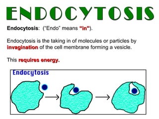 EndocytosisEndocytosis: (“Endo” means “in”“in”).
Endocytosis is the taking in of molecules or particles by
invaginationinvagination of the cell membrane forming a vesicle.
This requires energy.requires energy.
 