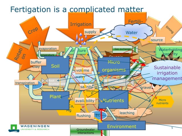 Fertigation management in Dutch soil-grown greenhouse crops | PPTX