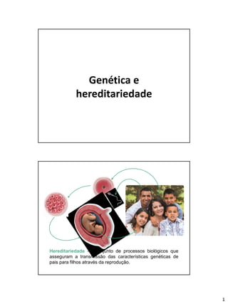 1
Genética e
hereditariedade
Hereditariedade — Conjunto de processos biológicos que
asseguram a transmissão das características genéticas de
pais para filhos através da reprodução.
 