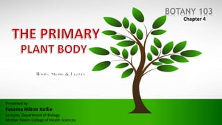 BOTANY 103
Chapter 4
Presented by:
Fasama Hilton Kollie
Lecturer, Department of Biology
Mother Patern College of Health Sciences
 