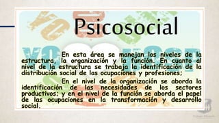 En esta área se manejan los niveles de la
estructura, la organización y la función. En cuanto al
nivel de la estructura se trabaja la identificación de la
distribución social de las ocupaciones y profesiones;
En el nivel de la organización se aborda la
identificación de las necesidades de los sectores
productivos; y en el nivel de la función se aborda el papel
de las ocupaciones en la transformación y desarrollo
social.
Psicosocial
 