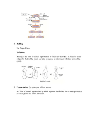 REPRODUCTION | DOCX