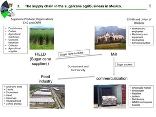 3. The supply chain in the sugarcane agribusiness in Mexico. 5
FIELD
(Sugar cane
suppliers)
Mill
commercializationFood
industry
• Day laborers
• Cutters
• Agricultural
machinery
• Combine
harvester
• Collector
• Agricultural
supplies
• Workers and
employees
• Machinery and
equipment
• Contractors
• Service providers
Sugar truckers
• Wholesale market
• Wholesaler
• Retailers
• bottlers
• Distributors
• IMMEX companies
• Exports
• Juice and soda
• Candy
• Chocolates
• bread
• preserves
• Prepared food
• Coffee and tea
Sugarcane Producer Organizations
CNC and CNPR
CNIAA and Union of
Workers
Government and
Civil Society
 