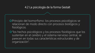 4.2 La psicología de la forma Gestalt
Principio del Isomorfismo: los procesos psicológicos se
relacionan de modo directo con procesos biológicos y
fisiológicos.
“los hechos psicológicos y los procesos fisiológicos que los
sustentan en el cerebro y el sistema nervioso central, se
parecen en todas sus características estructurales y de
organización”.
 